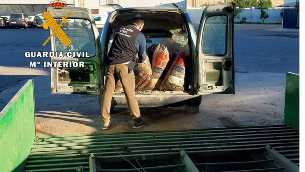 ep un agente inspecciona uno de los vehiculos