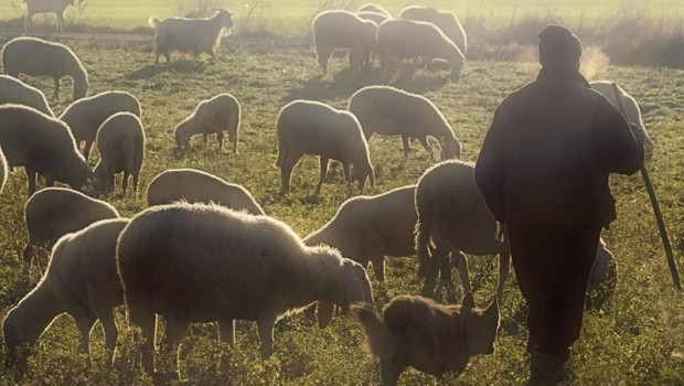 ep union de uniones alerta de la caida del 75 en la leche de cabra y del 55 en la de oveja