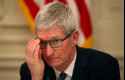 tim-cook-ceo-apple 0 20190908091916