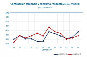 1607678019 grafico1 1607678019 grafico1