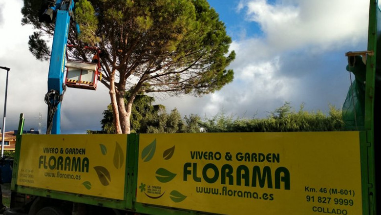 1642769034 podas florama 2