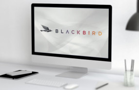 dl blackbird plc aim technology software and computer services logo dl blackbird plc aim technology software and computer services logo