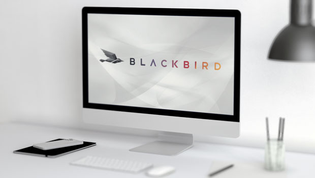 dl blackbird plc software de tecnología de objetivo y logotipo de servicios informáticos