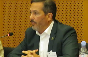 ep el presidente de la federacion nacional de asociaciones inmobiliarias participa en el comite