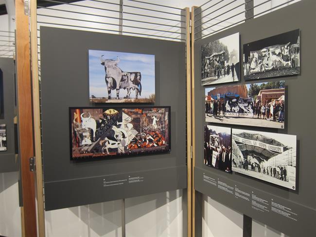ep exposicion picasso viajeguernica