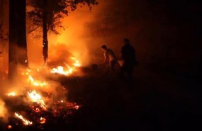 ep gobierno ayudara aperdieroncasalos incendios