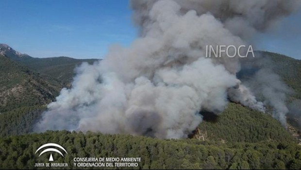 ep incendiosegurala sierra
