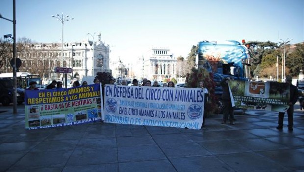 ep manifestacionintegrantescircosanimalesmadridevitarpro