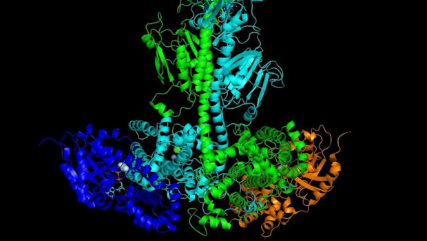 ep modelo de investigadores de la unh del complejo activado del dimero pde6 verde y cian con dos