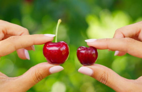 ep picota o cereza la dop cereza del jerte presenta diez claves para diferenciar a la reina roja del