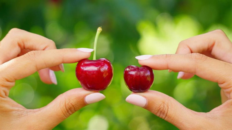 ep picota o cereza la dop cereza del jerte presenta diez claves para diferenciar a la reina roja del ep picota o cereza la dop cereza del jerte presenta diez claves para diferenciar a la reina roja del