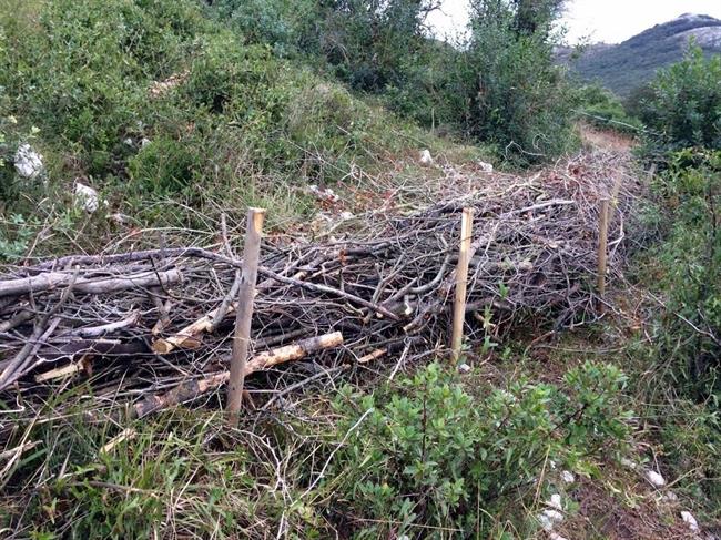 Ramas quemadas en los aledaños del Dueso | AYUNTAMIENTO DE SANTOÑA ep ramas quemadaslos aledanosdueso