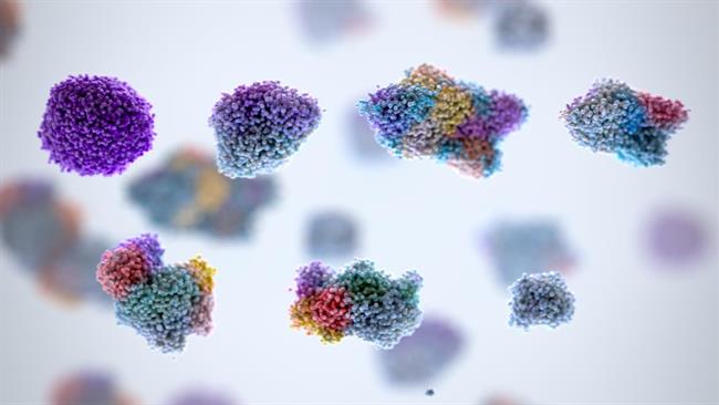 Subtipos de cáncer de riñón | PHOSPHO BIOMEDICAL ANIMATION - Archivo ep subtiposcancerrinon
