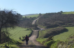 ep un peregrino que realiza el camino de santiago en el mes de enero de 2022 avanza por un camino