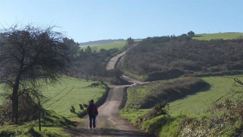 ep un peregrino que realiza el camino de santiago en el mes de enero de 2022 avanza por un camino ep un peregrino que realiza el camino de santiago en el mes de enero de 2022 avanza por un camino