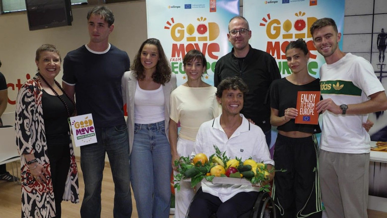 imag 1   embajadores de good move