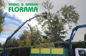 viveros florama viveros florama