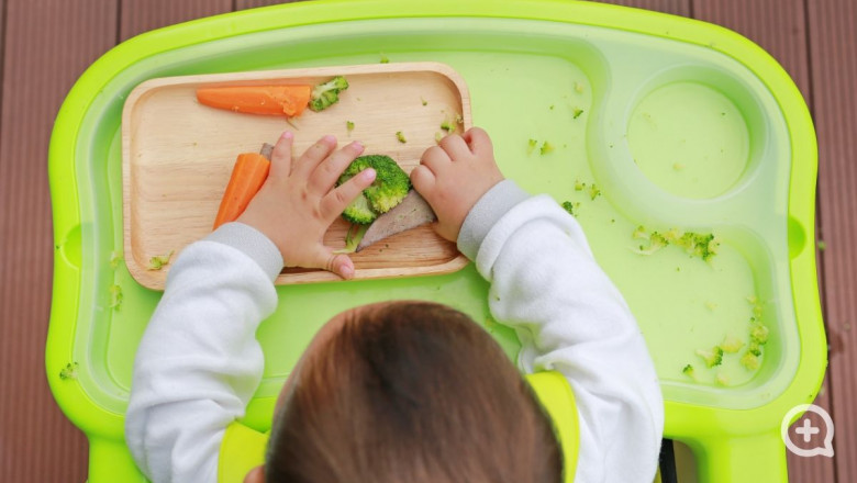 1572429379 vegetarianismoni os mediquo