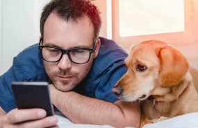 1595581713 mascotas contra el coronavirus mascostyle reivindica a los animales dome sticos como la mejor compan i a durante el confinamiento 1595581713 mascotas contra el coronavirus mascostyle reivindica a los animales dome sticos como la mejor compan i a durante el confinamiento