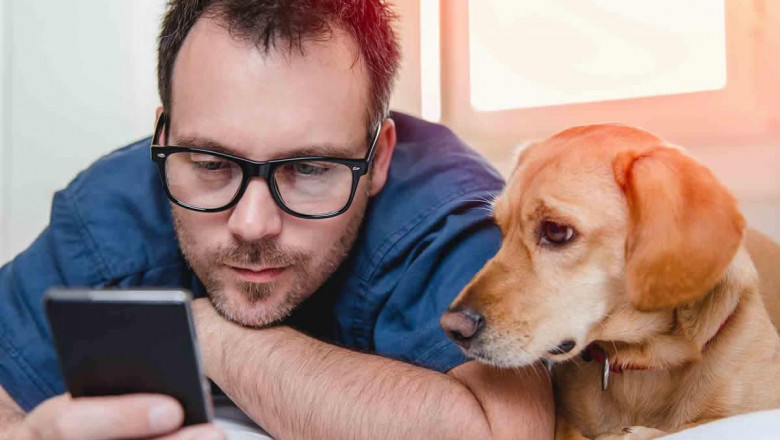 1595581713 mascotas contra el coronavirus mascostyle reivindica a los animales dome sticos como la mejor compan i a durante el confinamiento