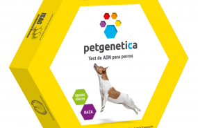 1644420740 pack petgenetica raza