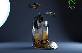 agrousd revoluciona el campo con un sistema financiero descentralizado y sin bancos