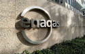 ep archivo   detalle del logo de enagas