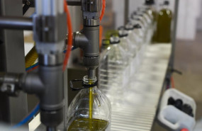 ep archivo   envasado en la almazara tradicional en gata caceres a 24 de noviembre de 2023 en