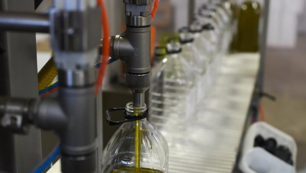 ep archivo   envasado en la almazara tradicional en gata caceres a 24 de noviembre de 2023 en