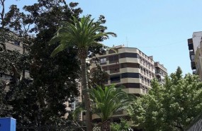 ep ficus desplome santo domingo murcia