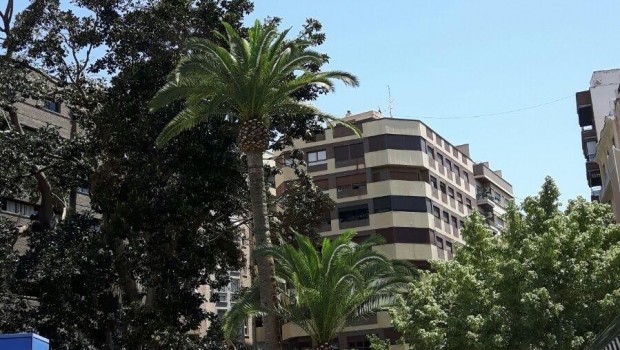 ep ficus desplome santo domingo murcia