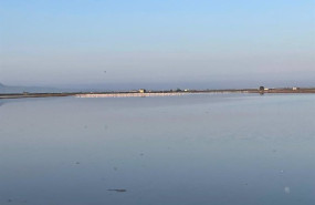 ep flamencos en la albufera