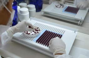 ep hormonas sexuales investigacion farmacos tratamientos laboratorio ep hormonas sexuales investigacion farmacos tratamientos laboratorio