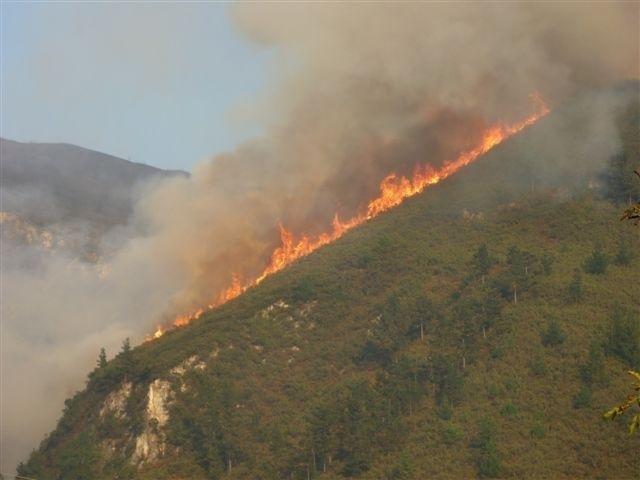 Incendio forestal en Asturias. | COORDINADORA ECOLOXISTA ep incendio forestalasturias