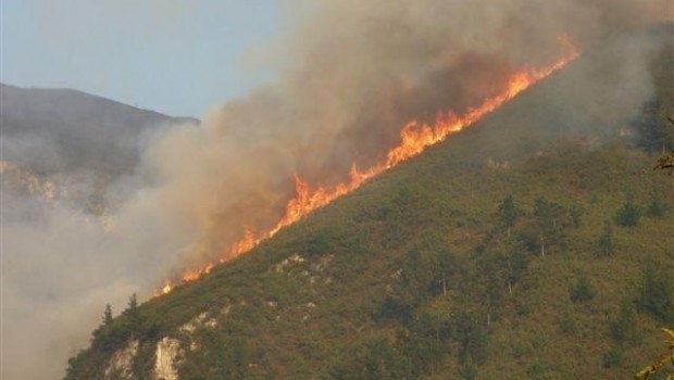 ep incendio forestalasturias