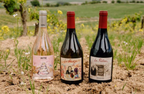 ep nuevos vinos de cepa 21