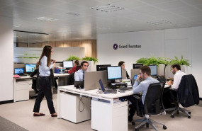 ep oficina de grant thornton