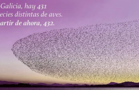 ep promocion de renfe para el ave a galicia