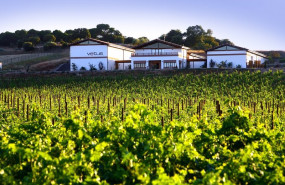 ep vinedos de bodega vetus