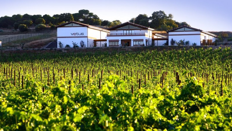 Viñedos de Bodega Vetus | BODEGA VETUS - Archivo ep vinedos de bodega vetus