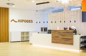 hipoges new logo