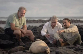 lions 0 yejf6xrz0whrrcdc