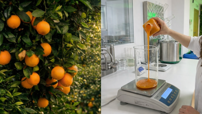 makfood campo makfood campo