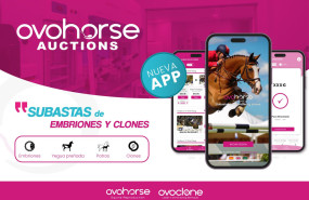 nota de prensa ovohorse auctions 20240510111208 