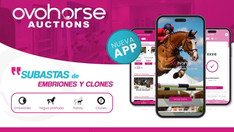 nota de prensa ovohorse auctions 20240510111208 