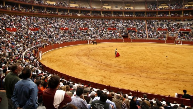 plaza toros torero torear