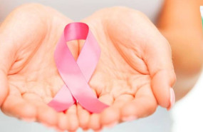 salerm 21 pink edition salerm 21 pink edition