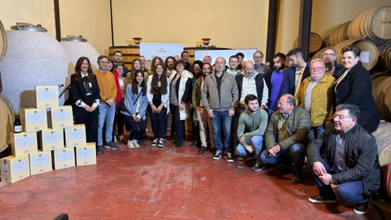 whatsapp image 2025 04 10 at 200628 2 20250411151836 