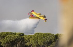 ep efectivosincendiomoguer huelva
