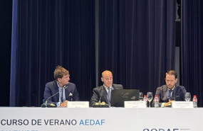 ep el presidente de la asociacion espanola de asesores fiscales aedaf bernardo bande